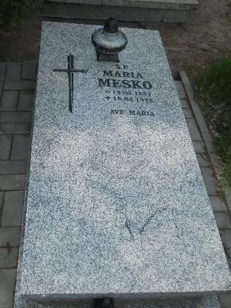 Zdjęcie grobu 40/100