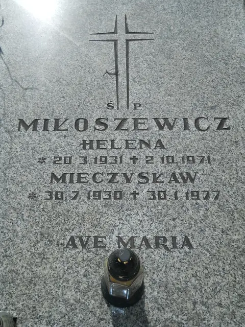 Zdjęcie grobu 8/10496