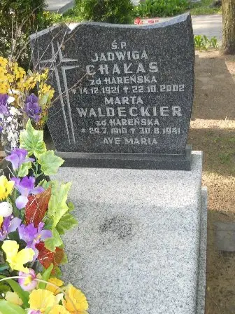 Zdjęcie grobu 24/9