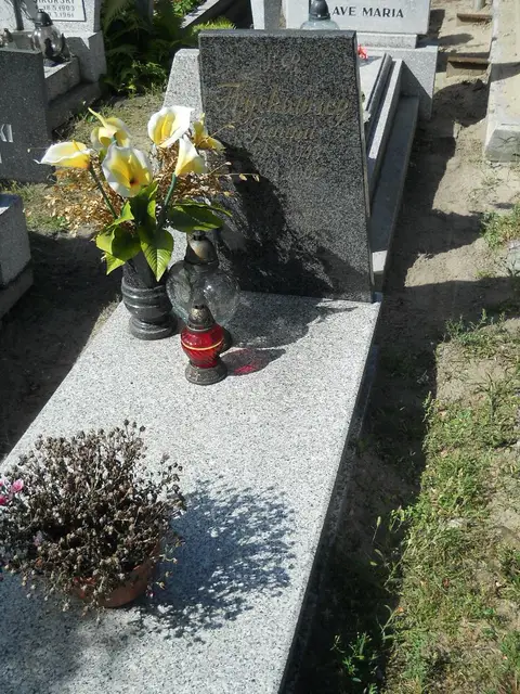 Zdjęcie grobu 6/24169