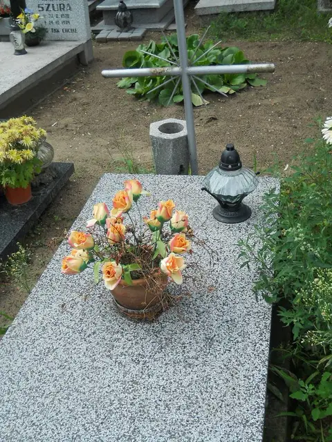 Zdjęcie grobu 5/22654