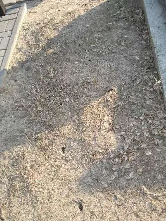 Zdjęcie grobu 4/100