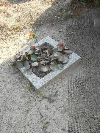 Zdjęcie grobu 2/13