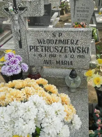 Zdjęcie grobu 26/295