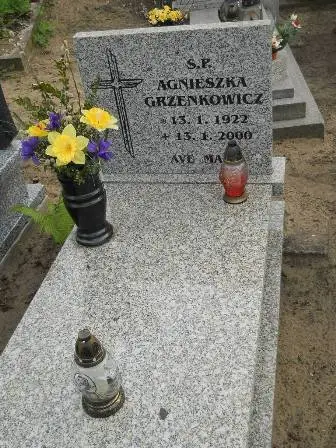 Zdjęcie grobu 9/47