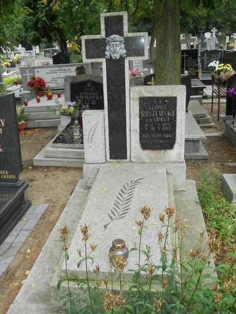Zdjęcie grobu 16/26099