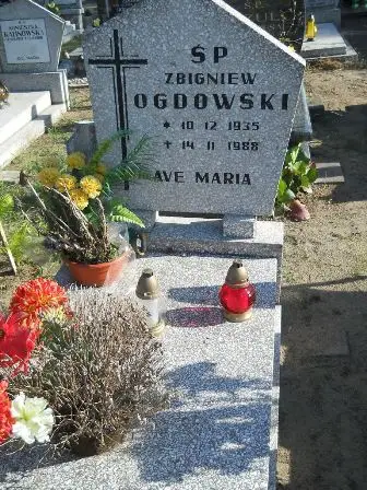 Zdjęcie grobu 45/242