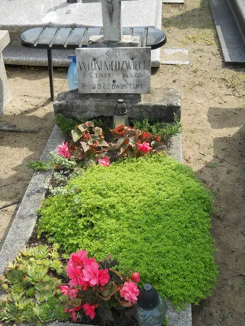 Zdjęcie grobu 16/26382