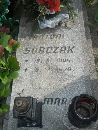 Zdjęcie grobu 22/100