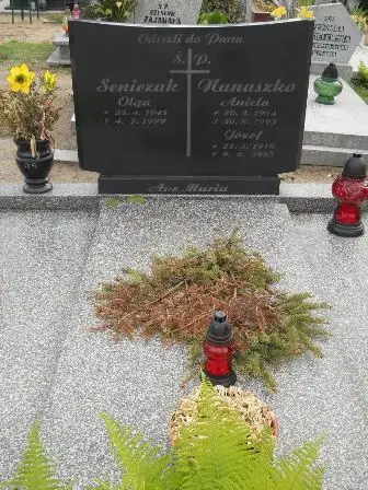 Zdjęcie grobu 44/107,107a