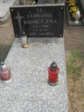 Zdjęcie grobu 37/100