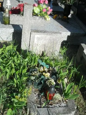 Zdjęcie grobu Ha/166