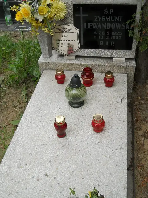 Zdjęcie grobu 7/10912
