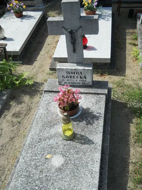 Zdjęcie grobu 6/24369