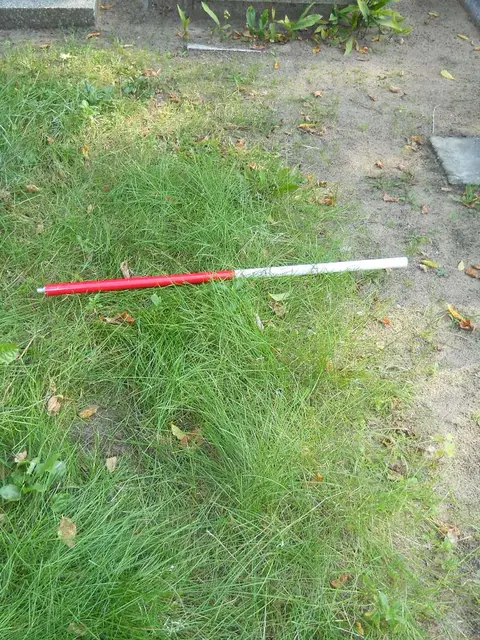 Zdjęcie grobu 15/26599