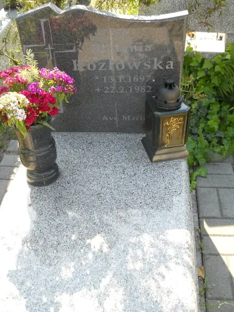 Zdjęcie grobu 7/11965