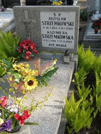 Zdjęcie grobu 45/291