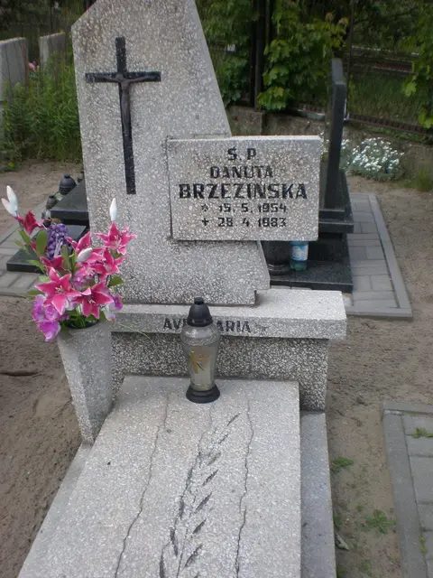 Zdjęcie grobu A/20030