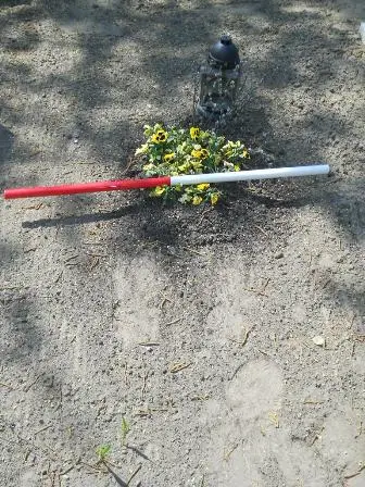 Zdjęcie grobu 30/100