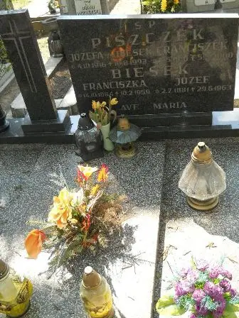 Zdjęcie grobu 30/100