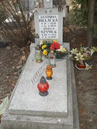 Zdjęcie grobu 15/100
