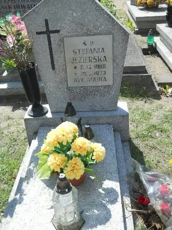 Zdjęcie grobu 11/100