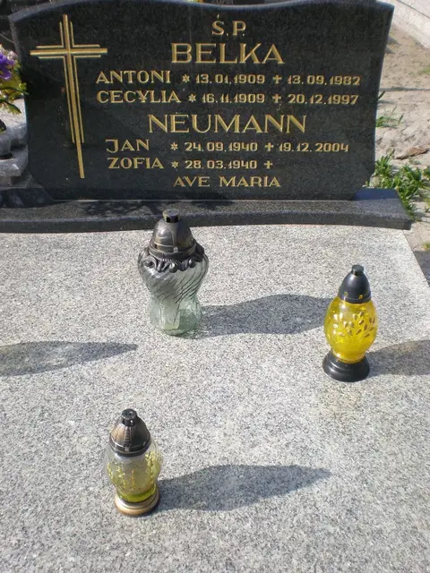 Zdjęcie grobu 8B/20097