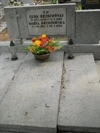 Zdjęcie grobu 33/100