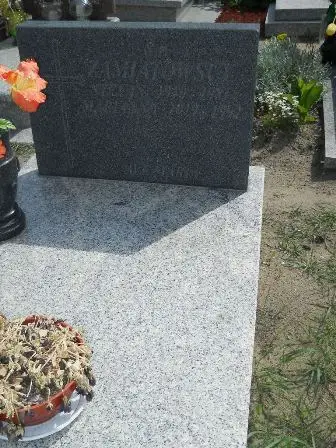 Zdjęcie grobu 26/274