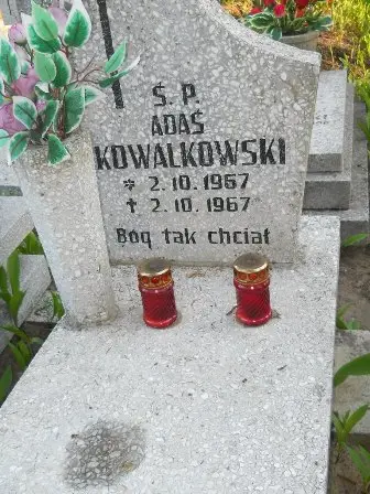 Zdjęcie grobu 7b/210
