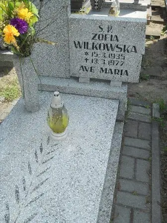 Zdjęcie grobu 25/223