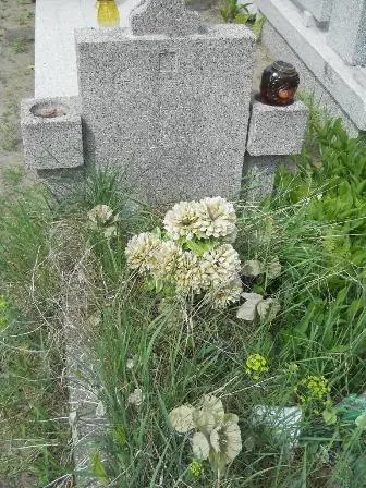 Zdjęcie grobu 20/100
