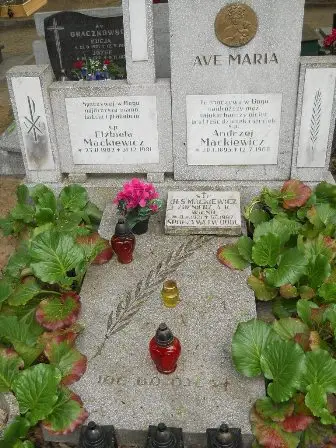 Zdjęcie grobu 33/228,229