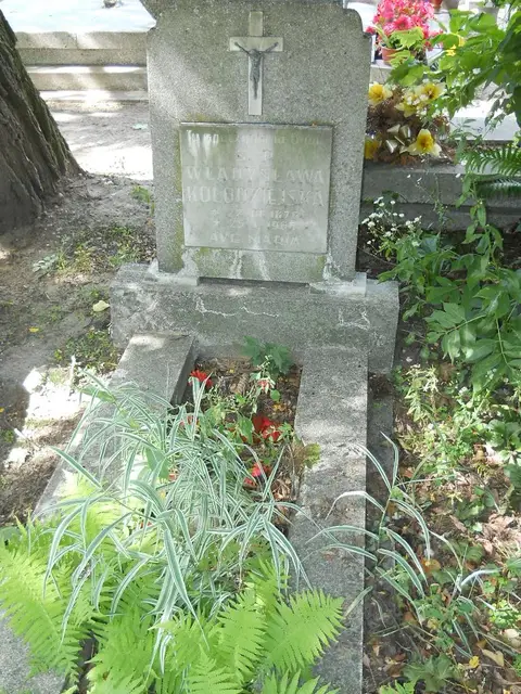 Zdjęcie grobu 6/24231