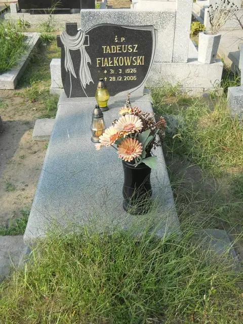 Zdjęcie grobu 18/28656