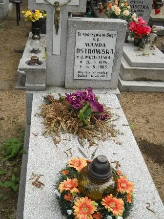 Zdjęcie grobu 33/100