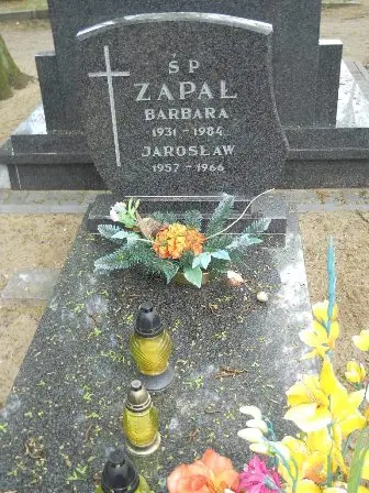 Zdjęcie grobu 33/220
