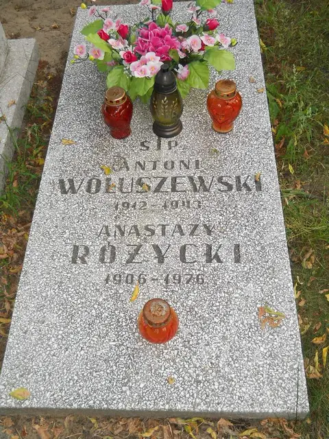 Zdjęcie grobu 14/26918