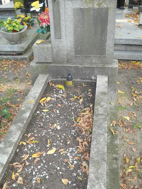 Zdjęcie grobu 15/26673