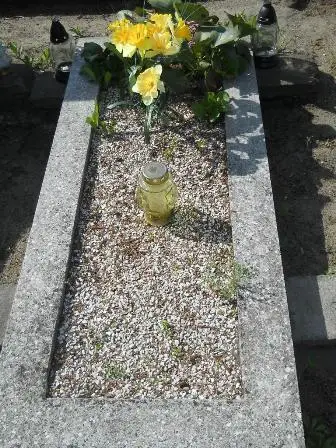 Zdjęcie grobu 24/100