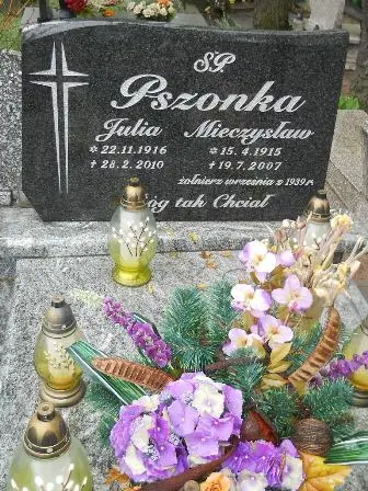 Zdjęcie grobu 32/100