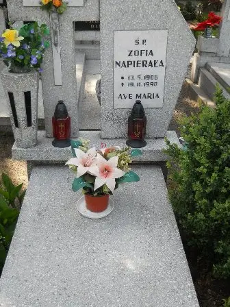 Zdjęcie grobu 25/88