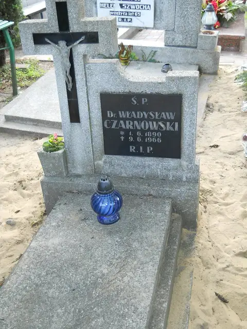 Zdjęcie grobu 8/10611