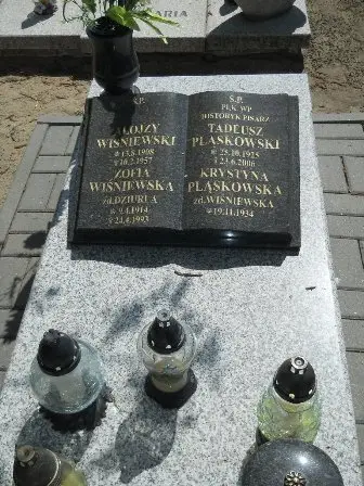 Zdjęcie grobu 28/210