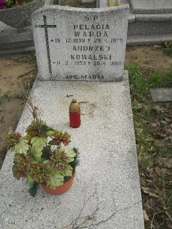 Zdjęcie grobu 9/101