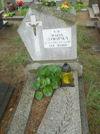 Zdjęcie grobu 32/373