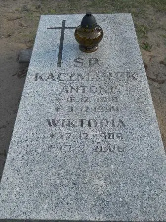 Zdjęcie grobu 45/272