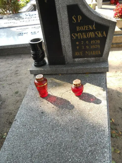 Zdjęcie grobu 17/28053