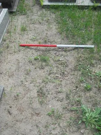 Zdjęcie grobu 40/100