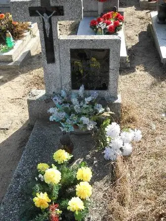 Zdjęcie grobu 1/313